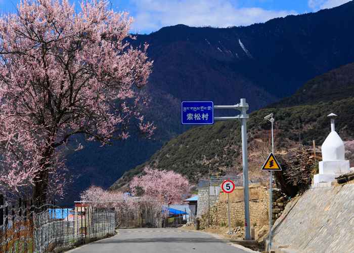 周周西藏定制游🚙西藏周全🚌-第1张图片-西藏租车网